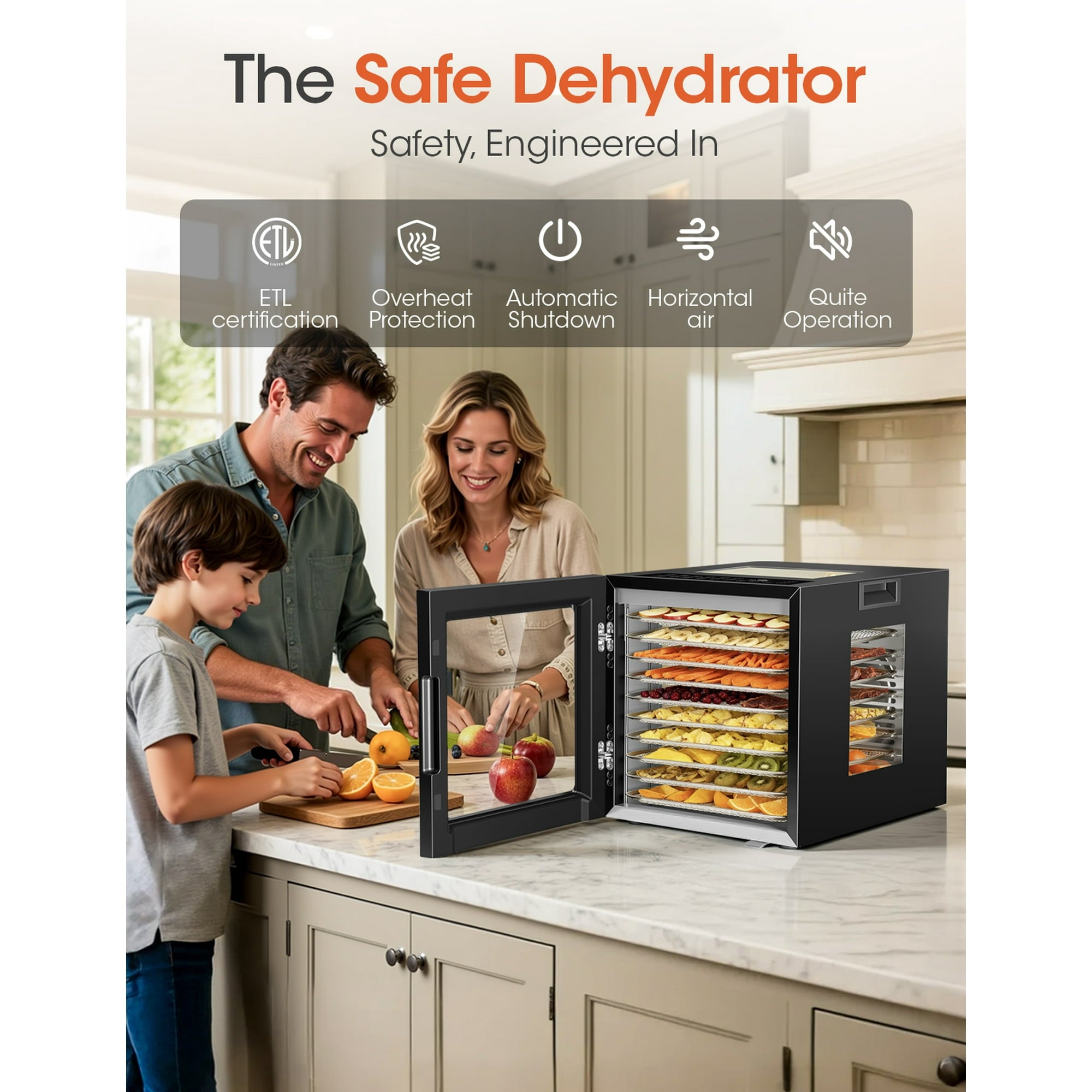 Nepsam 850W Food Dehydrator, 10 Stainless Steel Trays, 167°F Dehydrated Dryer for Dog Treats, Meat, Fruit, Veggies, Snacks(Black)